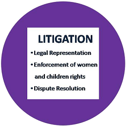 Litigation
